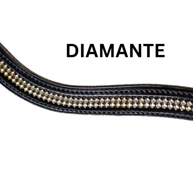 Fairfax Bridle - Flash Black-5